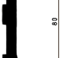 Плинтус Промышленный плинтус Пп 80х30 ПП 80х30 фото 1 | FLOORDEALER